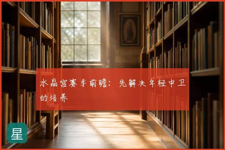 水晶宫赛季前瞻：先解决年轻中卫的培养